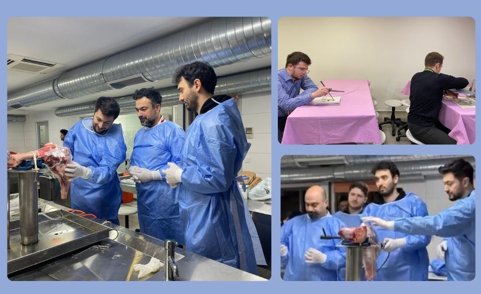 Temel artroskopik motor beceri kursuna ev sahipliği yapmaya devam ediyoruz